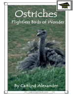 Ostriches: Flightless Birds of Wonder: Educational Version