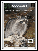 Raccoons: Masked Robbers of the Night: Educational Version