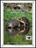 Turtles: Shelled Creatures of Land and Sea: Educational Version