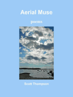 Aerial Muse: poems