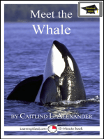 Meet the Whale: Educational Version