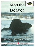 Meet the Beaver: Educational Version