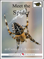 Meet the Spider: Educational Version