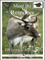 Meet the Reindeer: Educational Version