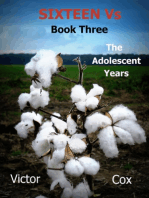 Sixteen Vs, Book Three, The Adolescent Years