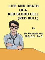Life and Death of a Red Blood Cell (Red Bull)