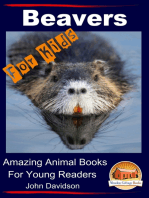 Beavers For Kids Amazing Animal Books for Young Readers