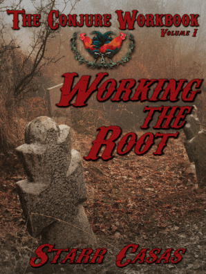 Animal ancestors workbook