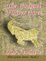 The Godsend of River Grove