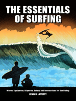 The Essentials of Surfing