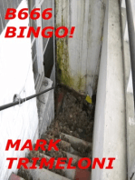 B666 Bingo!