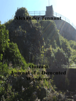 Outcast Journal of a Demented Wanderer