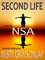 Second Life and the NSA
