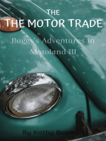 Buggy's Adventures in Motoland III