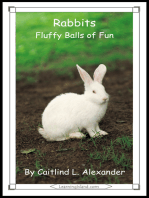 Rabbits: Fluffy Balls of Fur