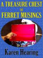 A Treasure Chest of Ferret Musings