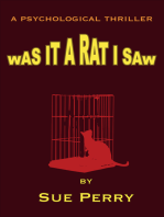 Was It A Rat I Saw