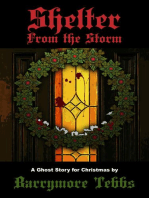 Shelter From the Storm - A Ghost Story for Christmas