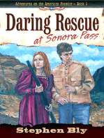 Daring Rescue at Sonora Pass