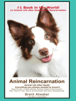 Animal Reincarnation & Animal Life after Death