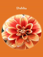 Dahlia: My Kitsune Consort
