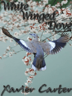 White Winged Dove