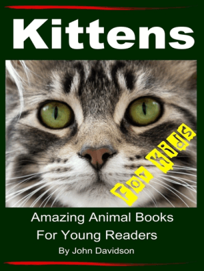 An in depth look at siamese cats