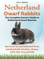 Netherland Dwarf Rabbits, The Complete Owner’s Guide to Netherland Dwarf Bunnies, How to Care for your Netherland Dwarf, including Health, Breeding, Lifespan, Colors, Diet, Facts and Clubs