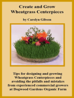 Creating and Growing Wheatgrass Centerpieces