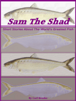 Sam the Shad