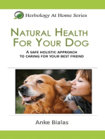 Natural Health for Your Dog: A safe, holistic approach to caring for your best friend