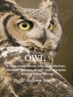 Owl; A True Story About Heroin Addiction, Mother Nature, Magic and Miracles . . . Among Other Things