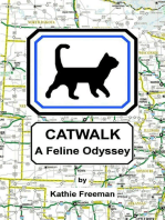 Catwalk A Feline Odyssey
