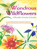 Wondrous Wildflowers of Boulder County Trails