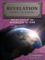 Revelation Down To Earth