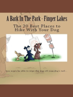 A Bark In The Park-Finger Lakes: The 20 Best Places To Hike With Your Dog