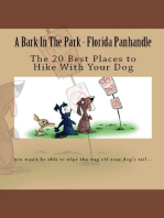 A Bark In The Park-Florida Panhandle: The 20 Best Places To Hike With Your Dog