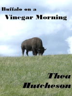 Buffalo on a Vinegar Morning