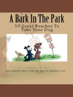 A Bark In The Park-50 Great Beaches To Take Your Dog