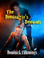 The Dominatrix's Demands