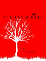 A Felony of Birds