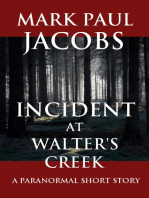 Incident at Walter's Creek