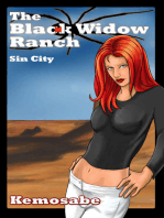 THE BLACK WIDOW RANCH Sin City Novels
