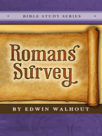 Romans Survey