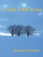 A Trail in the Snow