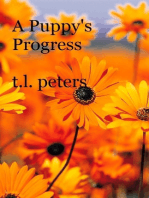 A Puppy's Progress