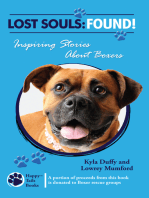 Lost Souls: FOUND! Inspiring Stories About Boxers