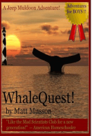 WhaleQuest!