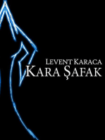 Kara Safak