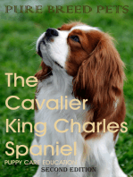 The Cavalier King Charles Spaniel 2ND Edition (Pure Breed Pets)